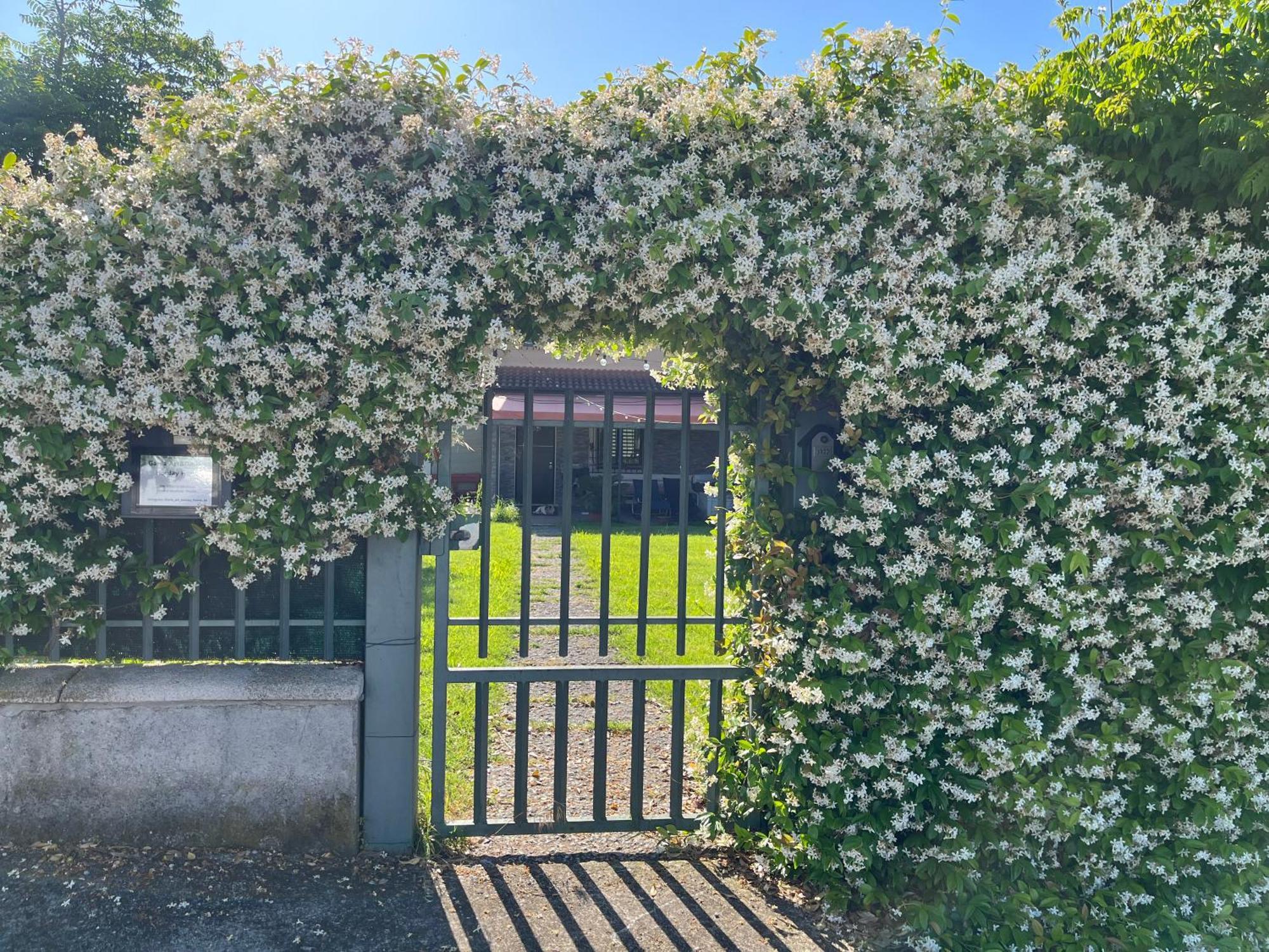 Garda Art&Garden Villa Volta Mantovana Exterior photo