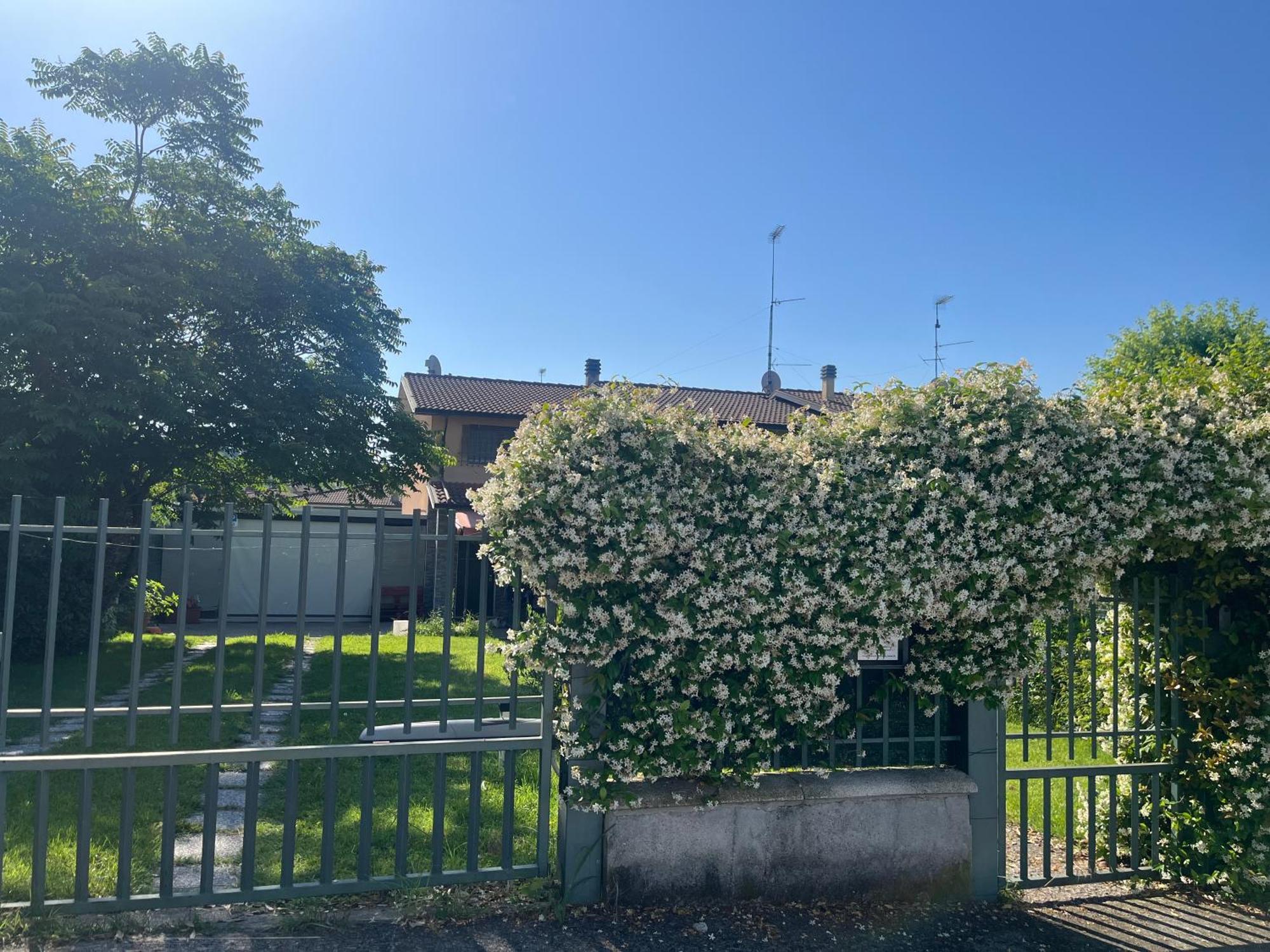 Garda Art&Garden Villa Volta Mantovana Exterior photo