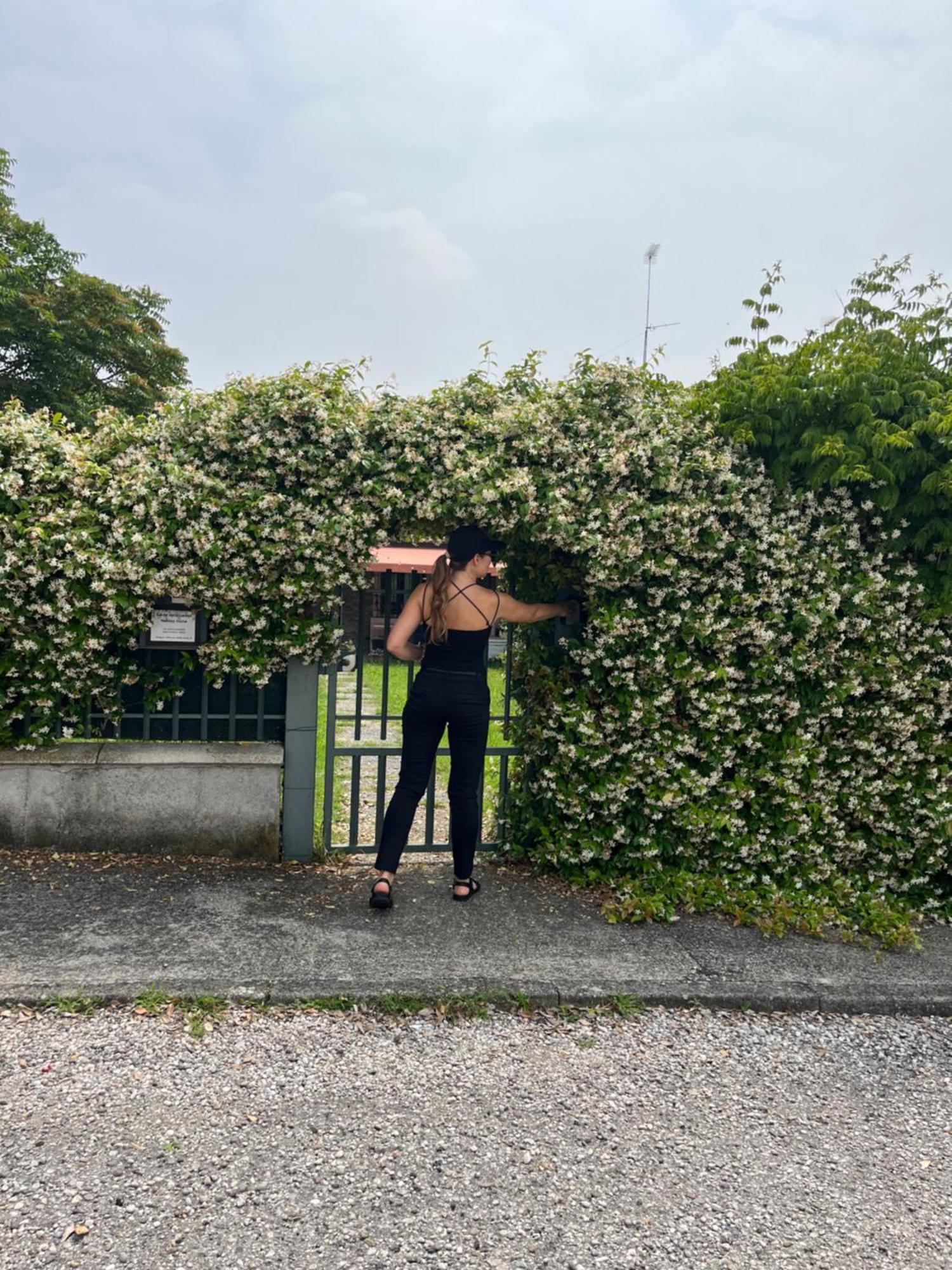Garda Art&Garden Villa Volta Mantovana Exterior photo